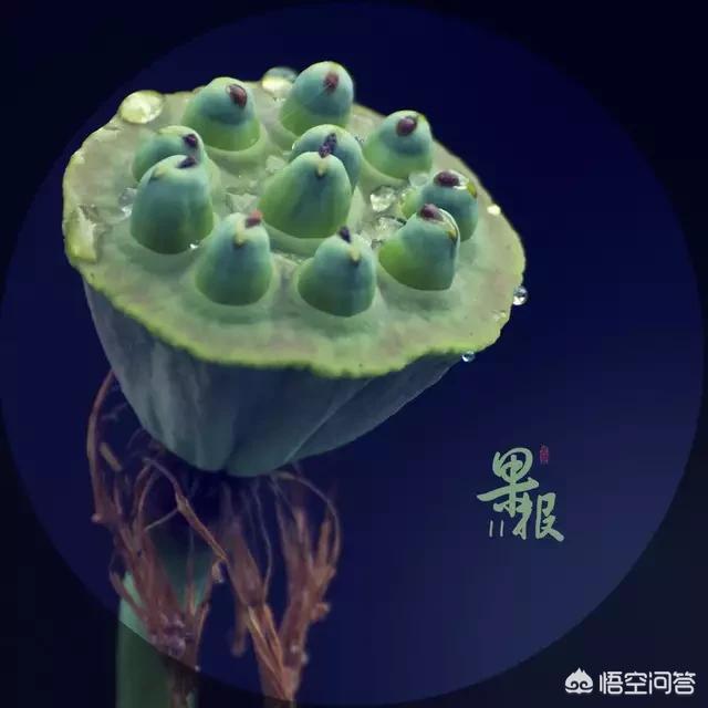 什么样的人业力重,现代有些人深信因果，为何无法掌控自己？