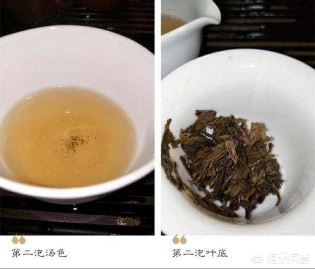 袋装茶怎么泡在杯子中,新的茶杯怎样处理能喝茶？