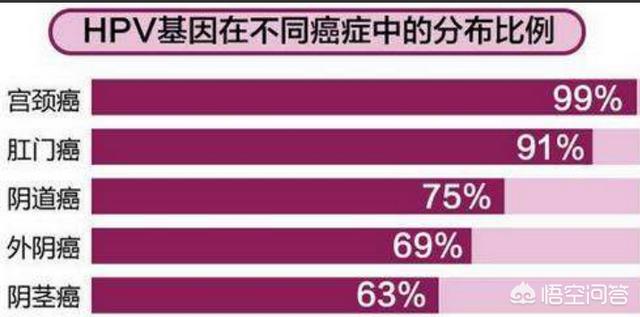 hpv疫苗是什么,hpv疫苗四阶和二阶啥区别？