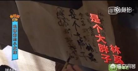 张慧雯谋女郎:“谋女郎”张慧雯接受采访时，为何吐槽刘昊然是“金刚直男”