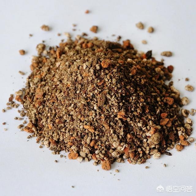 种多肉用什么样的土好，多肉是用土种还是小石头比较好呢