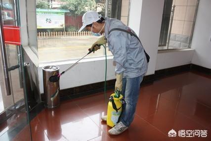 早餐店苍蝇太多怎么消灭最好:早餐店苍蝇太多怎么消灭 如何杀死公共场所的苍蝇？