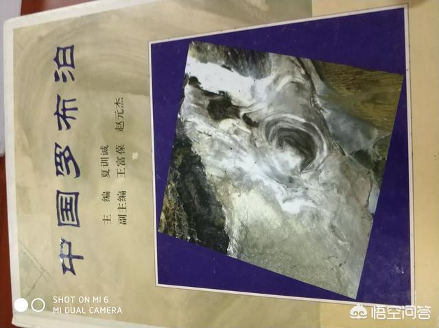 罗布泊的诡异事件:死亡之海罗布泊，比沙漠还恐怖，为何人们冒死进入？