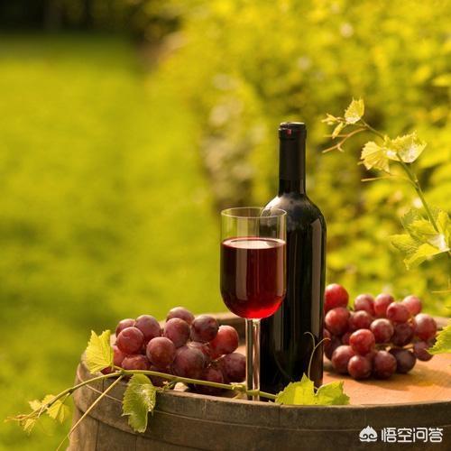宁夏干红葡萄酒价格，宁夏哪个牌子的葡萄酒最好喝？哪个最具性价比？