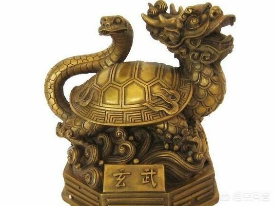 头条问答 玄武到底长什么样子 Makeup生活的回答 0赞