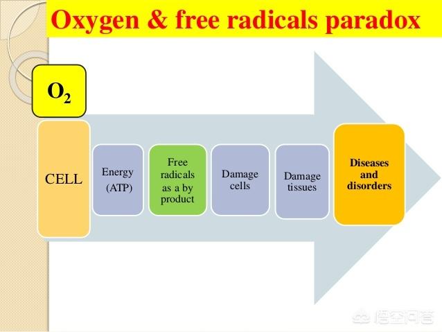 地球上的两次氧气暴增事件，如果氧气突然暴增，地球会变成什么样子