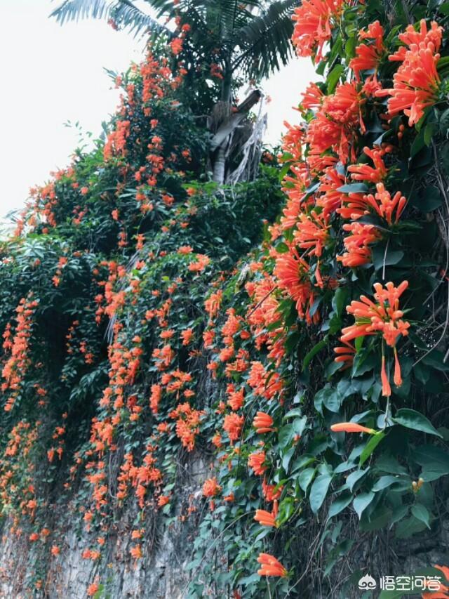 我是个心重，胡思乱想的人，怎么改变或调节自己？:心思重是什么意思 第12张