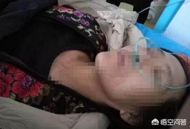 你怎么看待内蒙古中传研究生父亲正月初三遭村民砍死后发长文？