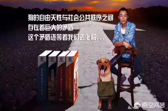 土狗胆小怎么办:如何治疗敏感胆小神经质的狗狗？