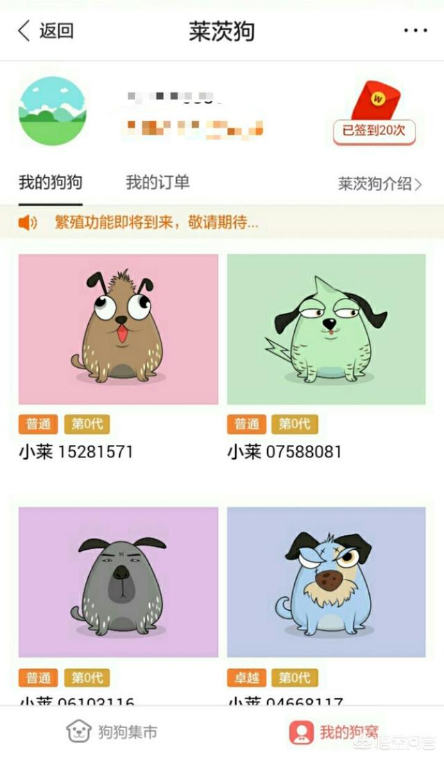 宠物领养中心:潍坊宠物领养中心在哪儿？