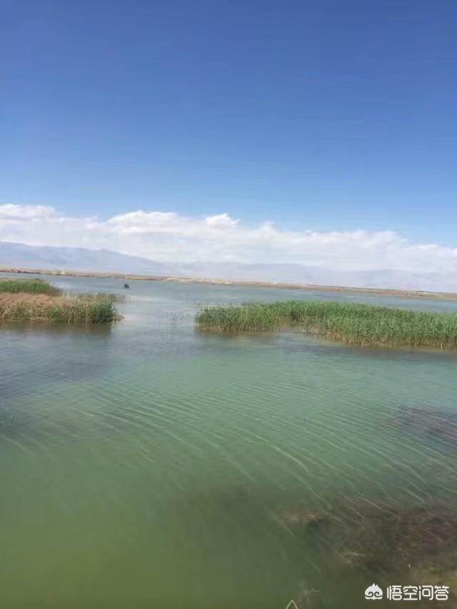 塔里木盆地在哪里,塔里木盆地绿洲分布的位置？