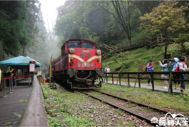 头条问答 阿里山小火车订票求助 5个回答