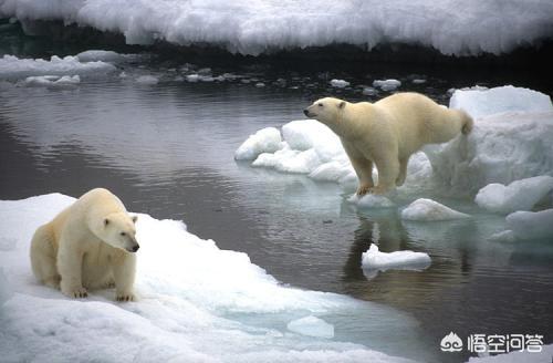 南北极融化了会发生什么事，南北极的冰山融化对世界有多大的危害