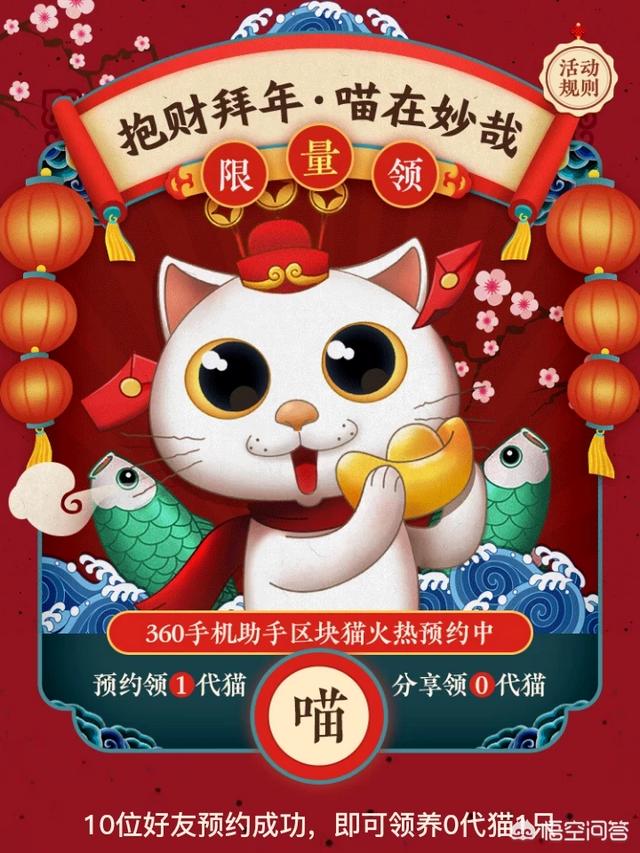 香港免费领养猫:香港免费领养猫狗 要不要收养小区的流浪猫？