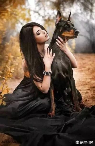 猛犬:我国战斗力排行前三的猛犬是哪些狗？为什么？