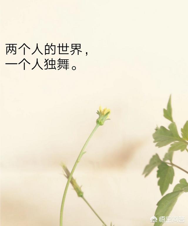 表达心情不好的句子和图片:大家有没有伤感的句子和图片？