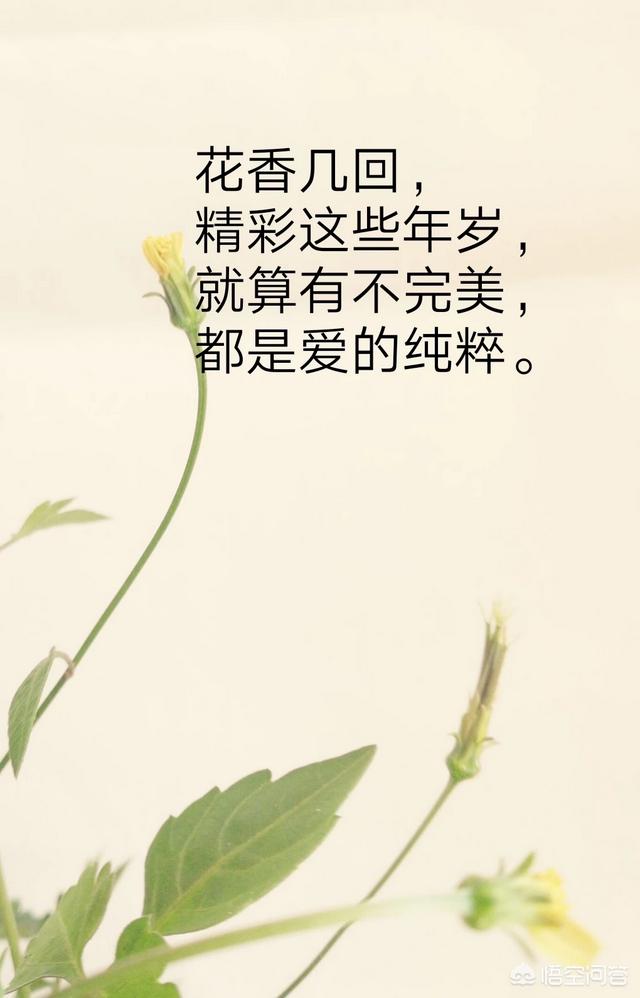 表达心情不好的句子和图片:大家有没有伤感的句子和图片？