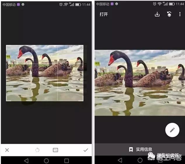 <a href=https://maguai.com/list/256-0-0.html target=_blank class=infotextkey>朋友圈</a>背景图ins风:在今日头条上写文章怎样找图片素材？(今日头条图片素材哪里找)