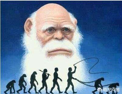 为什么人类没有繁殖期，人真的是由猿猴进化来的吗