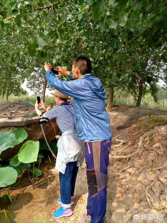 微信能发出但得不到回复，证明被拉黑了吗