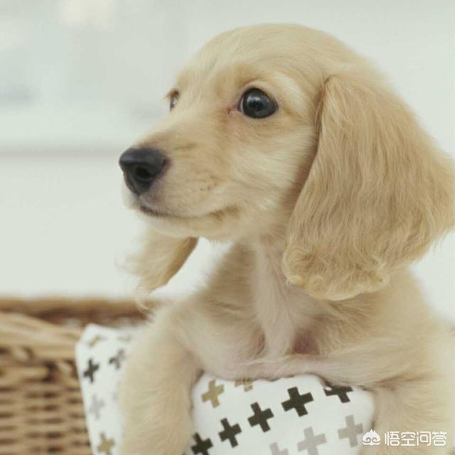 你有内涵一点的微信头像吗？