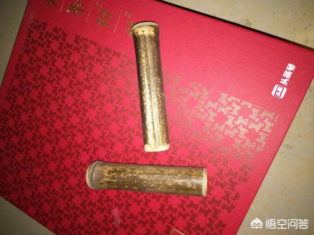 蟋蟀怎么养？