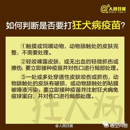 被猫抓出血了要打狂犬疫苗吗多少钱:被宠物店买来的猫咬了一口，出血了要不要打狂犬疫苗呢？