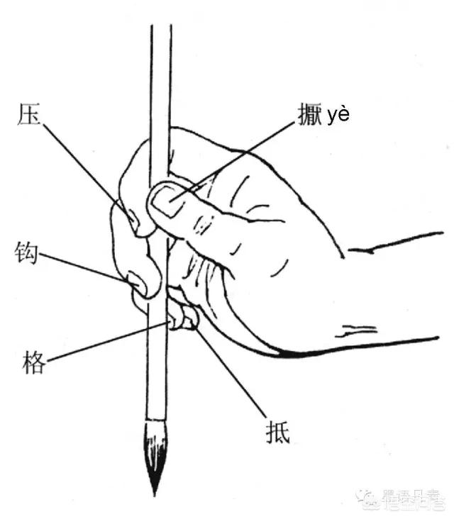 第一就是执笔,第二就是运腕,执笔分为竖直握管和斜执管,运腕分为定点