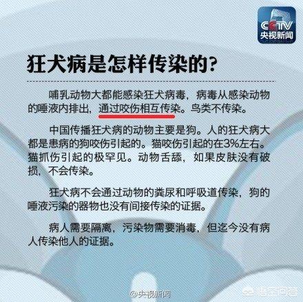 狐狸有没有狂犬病毒:什么样的猫带有狂犬病毒？