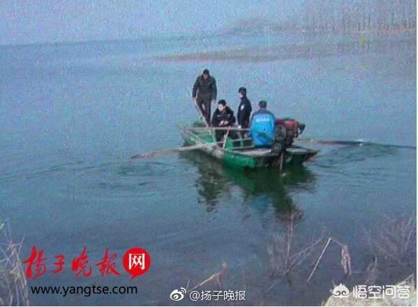 南京烧狗事件 当事人:如何看待南京一男子失手打死患病妻子后抛尸湖中这事？