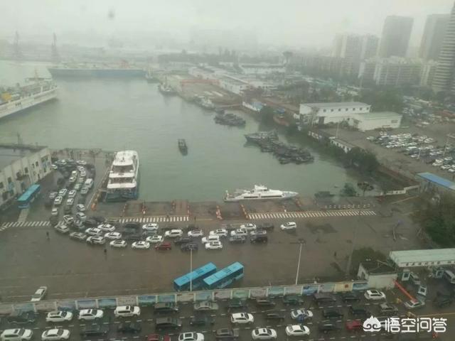 怎样咨询海口秀英港的海航情况