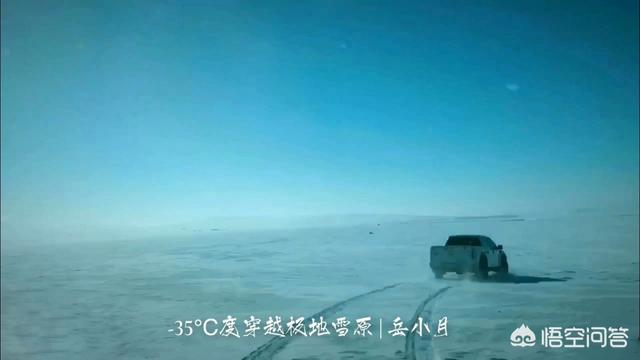有什么可以剪辑视频并且能加字幕的手机软件？