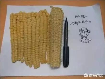 最美味的糖果是什么？