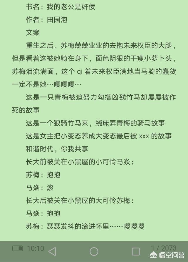 有好看的甜宠、爽文无虐的穿越架空文吗？