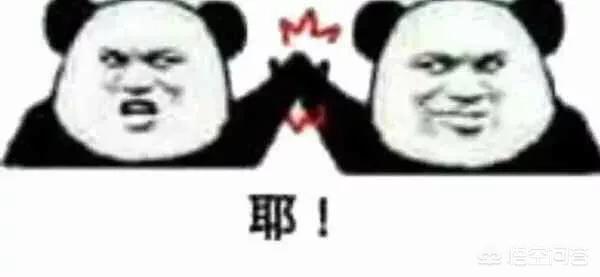 付费音乐哪个平台更好,苹果音乐、网易云音乐、QQ音乐、虾米音乐还是Spotify？