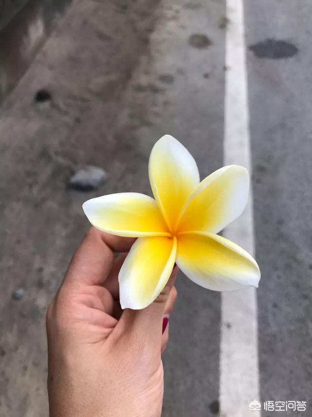 以下这些字怎么读？垚靐芔轟畾馫飍灥厵赑贔蟲毳龘驫羴雥鱻舙聶掱惢譶壵孨歮飝尛嚞皛雦？