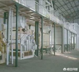 甘肃发现白化野骆驼:为什么现在一提到甘肃，好多人脑海里还是黄沙戈壁和骆驼呢