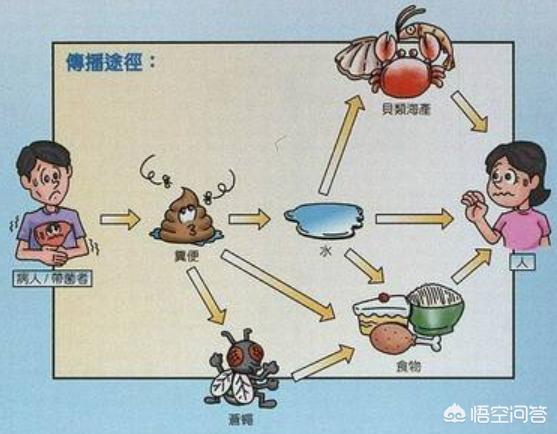1988年因为吃毛蚶上海甲肝大流行是怎么回事
