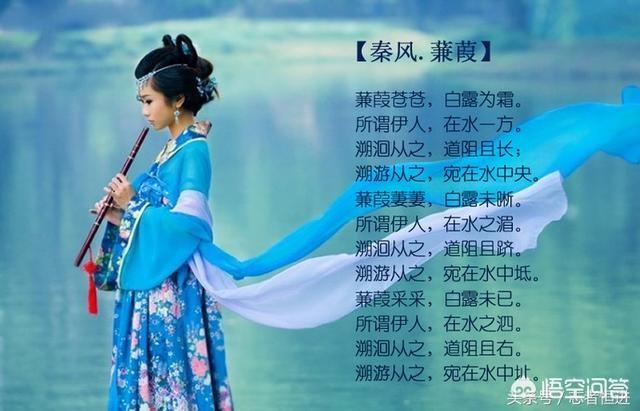 你见过哪些最美的句子，一眼就爱上(第一眼就爱上的句子)