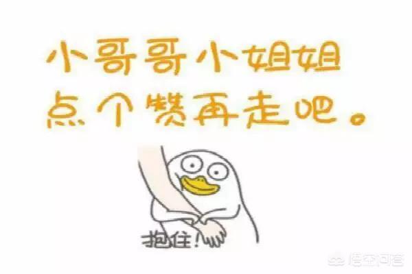 邯大主教楼:邯郸再过十年会发展成什么样子