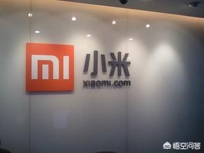 为什么华为手机进不了美国市场这么多人喊冤,而小米手机进入韩国市场受阻无人叫屈？