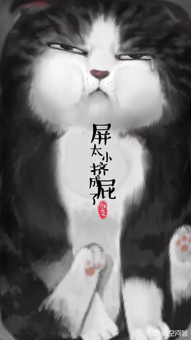 在寝室养猫注意事项:养猫技巧与注意事项 家里养猫，住高楼层，需要注意什么？