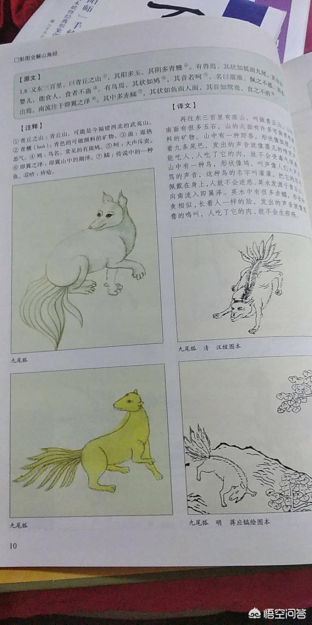 九尾狐是真的吗，九尾狐到底是中国、韩国还是日本的妖怪