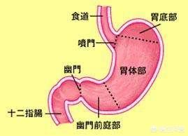 消化系统常见疾病:消化系统常见疾病有哪些 胃溃疡、十二指肠溃疡是一种很严重的病吗？