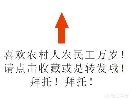 特爱干净的人会很穷吗,为什么越脏的人越不生病？