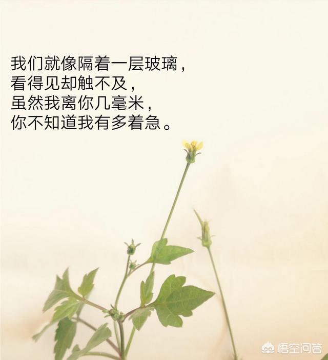 表达心情不好的句子和图片:大家有没有伤感的句子和图片？