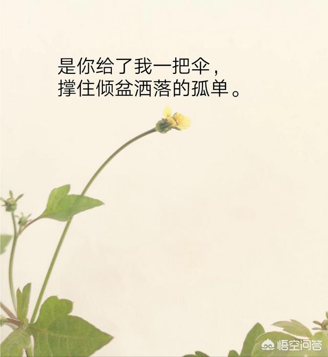 表达心情不好的句子和图片:大家有没有伤感的句子和图片？