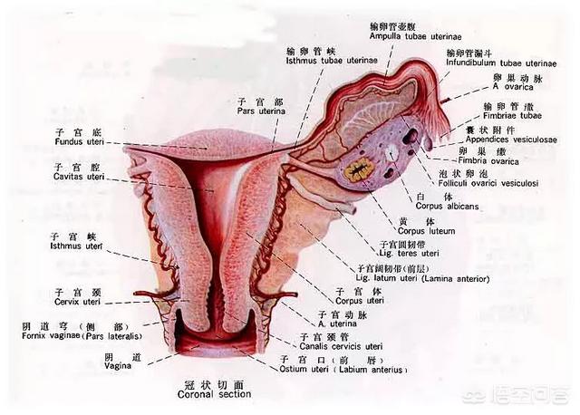 人流后腹痛是怎么回事？