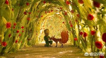 小学六年级有哪些必读书籍呢？