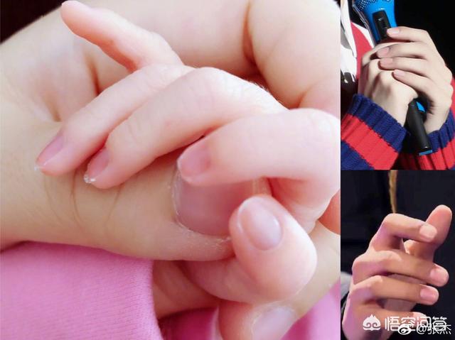 谢娜双胞胎女儿:谢娜二胎生的是男孩还是女孩？